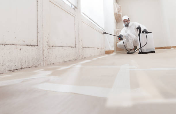 24/7 Emergency Black Mold Remediation experts in Media, PA